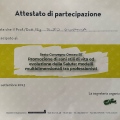 Ingrandire l'immagine: certificate 20