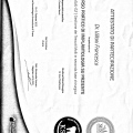 Ingrandire l'immagine: certificate 2