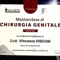 Ingrandire l'immagine: certificate 11