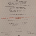 Ingrandire l'immagine: certificate 9
