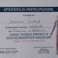 Ingrandire l'immagine: certificate 2