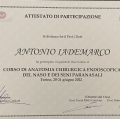 Ingrandire l'immagine: certificate 26