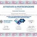 Ingrandire l'immagine: certificate 2