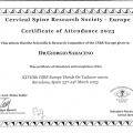Ingrandire l'immagine: certificate 1