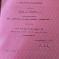 Ingrandire l'immagine: certificate 16