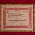 Ingrandire l'immagine: certificate 1