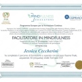 Ingrandire l'immagine: certificate 1