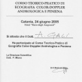 Ingrandire l'immagine: certificate 8