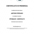 Ingrandire l'immagine: certificate 60