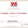Ingrandire l'immagine: certificate 3