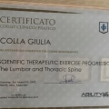 Ingrandire l'immagine: certificate 6