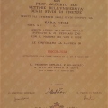 Ingrandire l'immagine: certificate 3