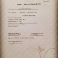 Ingrandire l'immagine: certificate 3