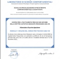 Ingrandire l'immagine: certificate 1