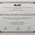 Ingrandire l'immagine: certificate 1
