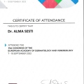 Ingrandire l'immagine: certificate 5