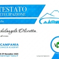 Ingrandire l'immagine: certificate 9