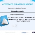 Ingrandire l'immagine: certificate 6