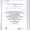 Ingrandire l'immagine: certificate 24