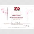 Ingrandire l'immagine: certificate 4