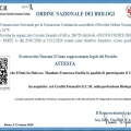 Ingrandire l'immagine: certificate 19