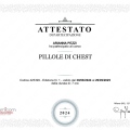 Ingrandire l'immagine: certificate 13