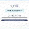 Ingrandire l'immagine: certificate 1