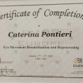Ingrandire l'immagine: certificate 1