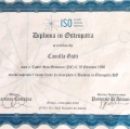 Ingrandire l'immagine: certificate 1