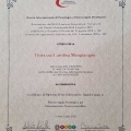 Ingrandire l'immagine: certificate 13