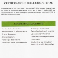 Ingrandire l'immagine: certificate 16