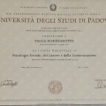 Ingrandire l'immagine: certificate 2