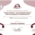 Ingrandire l'immagine: certificate 1