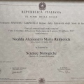 Ingrandire l'immagine: certificate 2
