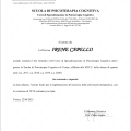 Ingrandire l'immagine: certificate 1