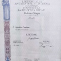 Ingrandire l'immagine: certificate 1
