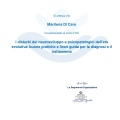 Ingrandire l'immagine: certificate 5