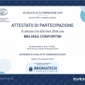 Ingrandire l'immagine: certificate 5