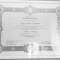 Ingrandire l'immagine: certificate 1
