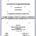 Ingrandire l'immagine: certificate 9