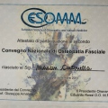 Ingrandire l'immagine: certificate 8