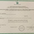 Ingrandire l'immagine: certificate 2