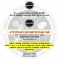 Ingrandire l'immagine: certificate 1