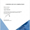 Ingrandire l'immagine: certificate 1