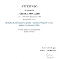 Ingrandire l'immagine: certificate 3