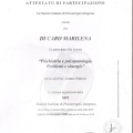 Ingrandire l'immagine: certificate 40