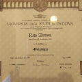 Ingrandire l'immagine: certificate 1