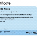 Ingrandire l'immagine: certificate 4