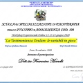 Ingrandire l'immagine: certificate 4