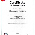 Ingrandire l'immagine: certificate 2